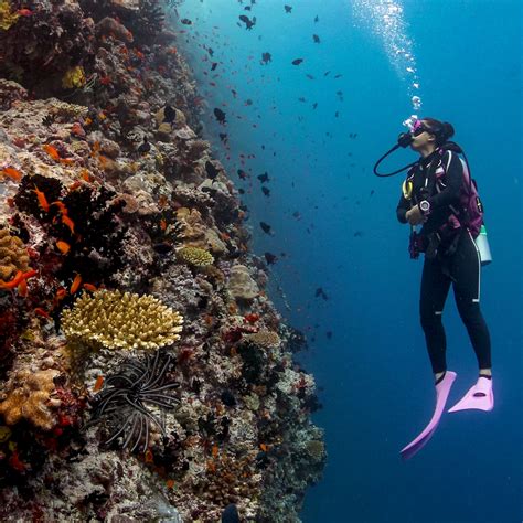 underwater adventures