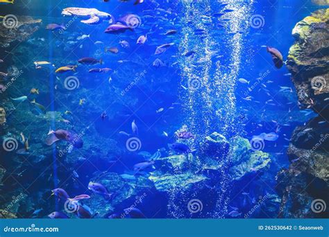 Underwater Aquarium Japan