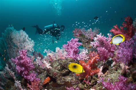 underwater diving Thailand