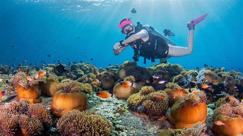 Underwater Diving Bali Indonesia