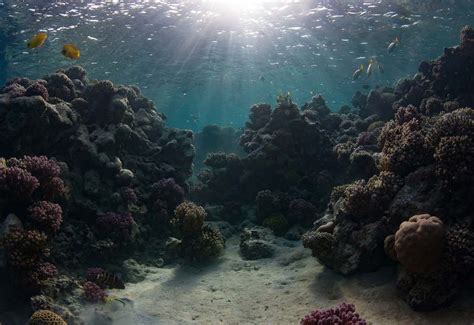 Underwater Lighting Tutorial