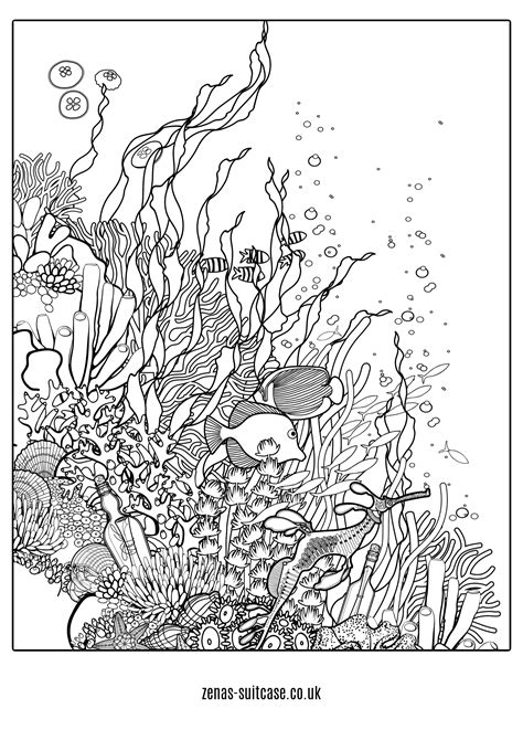 underwater ocean coloring pages for adults