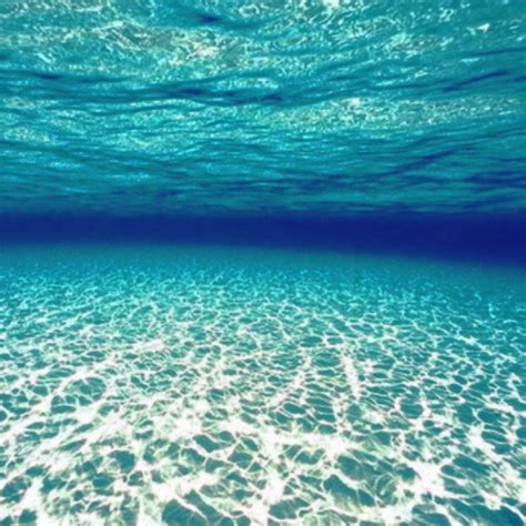 Exploring the Wonders of the Underwater Ocean Floor: Discover the Captivating Background Beneath the Waves