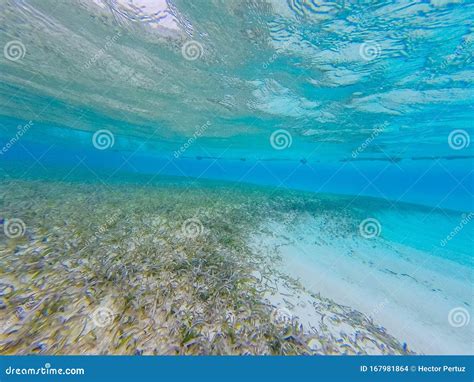 underwater views