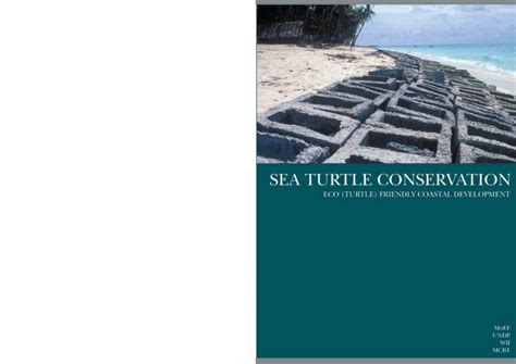 Images Undp Sea Turtle Project New