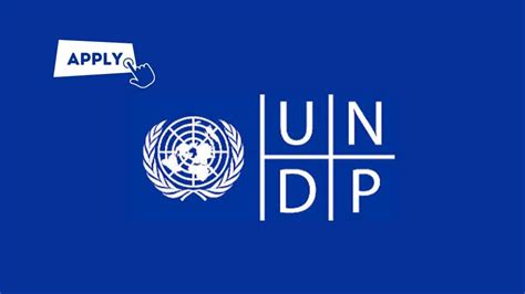 undp serbia job vacancies