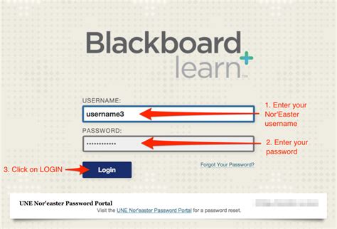 How do I access my courses on Blackboard Learn? WCSU Support