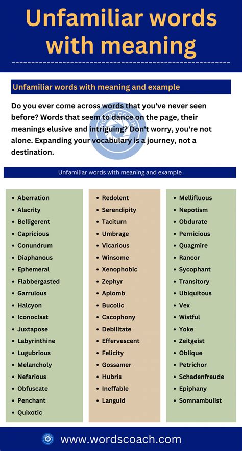 unfamiliar words with meaning and examples