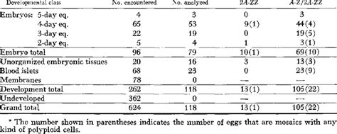 Unfertilized Turkey Eggs