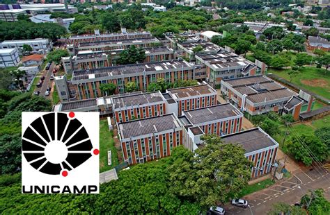 unicamp cursos gratuitos online