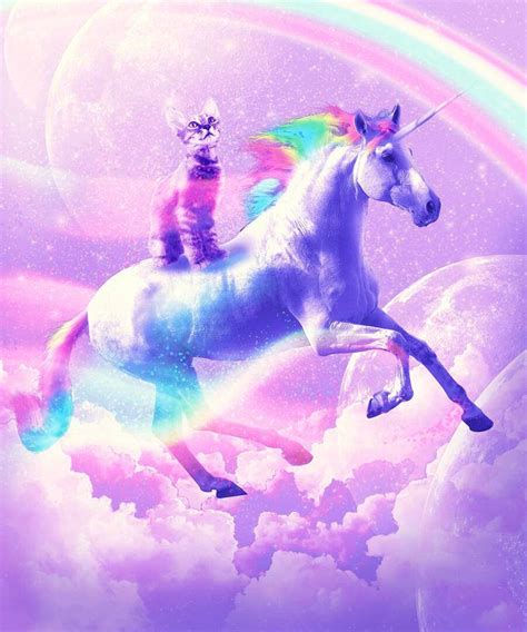 Unicorn Kitty Wallpaper
