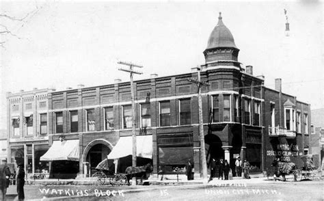 union city mi library