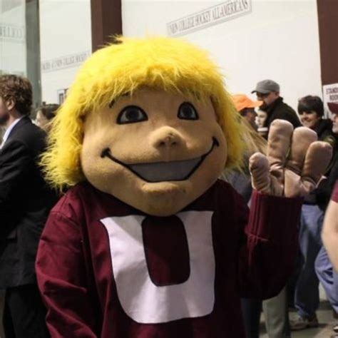 union college ny mascot