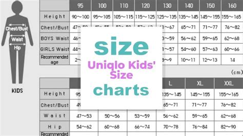 uniqlo size chart kids