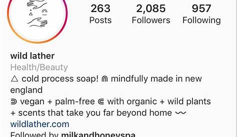 30+ Unique Aesthetic Instagram Bio Ideas for 2023 | Portaly