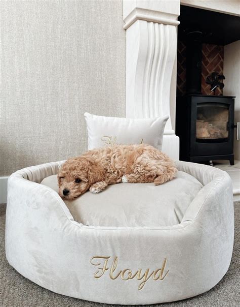 Unique Dog Beds Cheap
