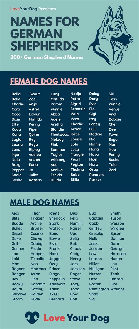 unique german dog names boy
