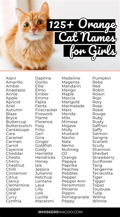 Unique Girl Cat Names Orange