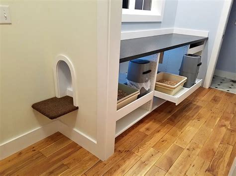 Unique Litter Box Ideas