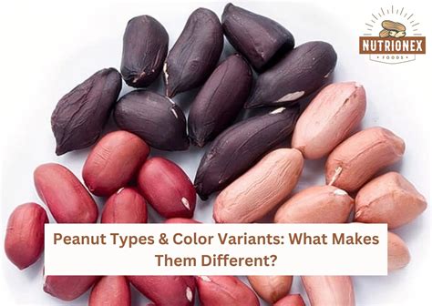 unique peanut varieties