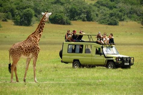 unique safari experience