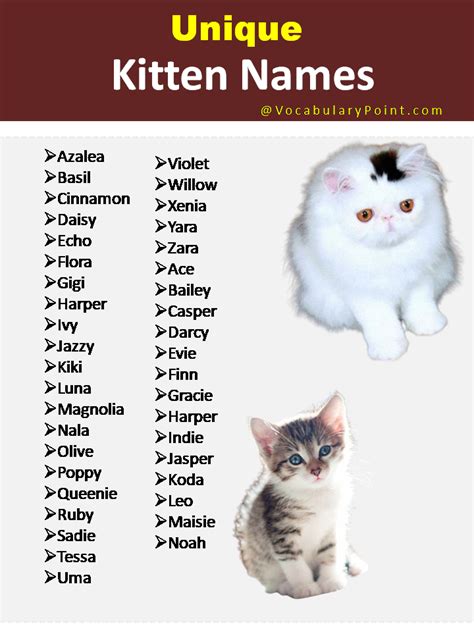 Unique Themed Cat Names
