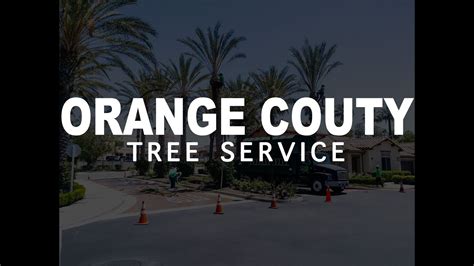 unique tree service orange county ca