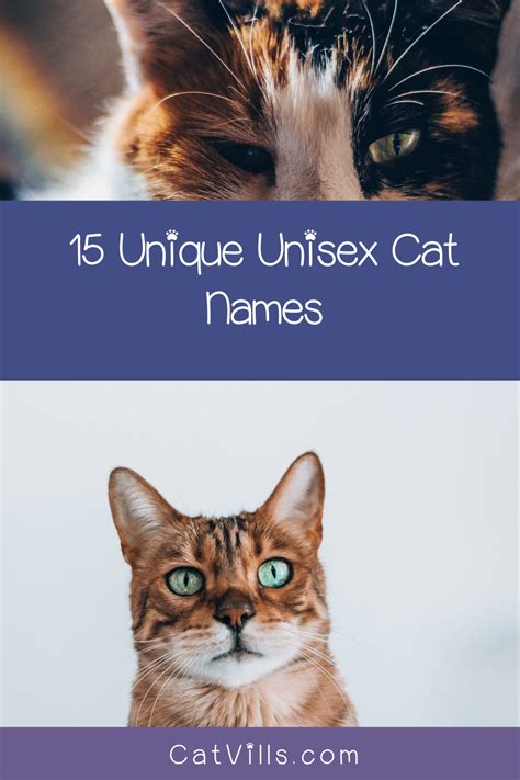 unisex names for cats