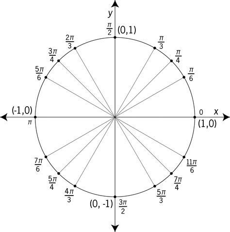 Understanding the Unit Circle with Labels: A Visual Guide