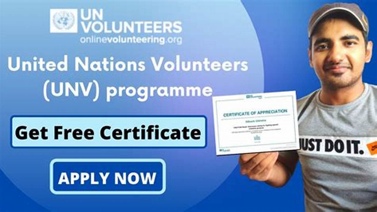 Unite the World through Online Volunteering with the United  Nations Volunteer