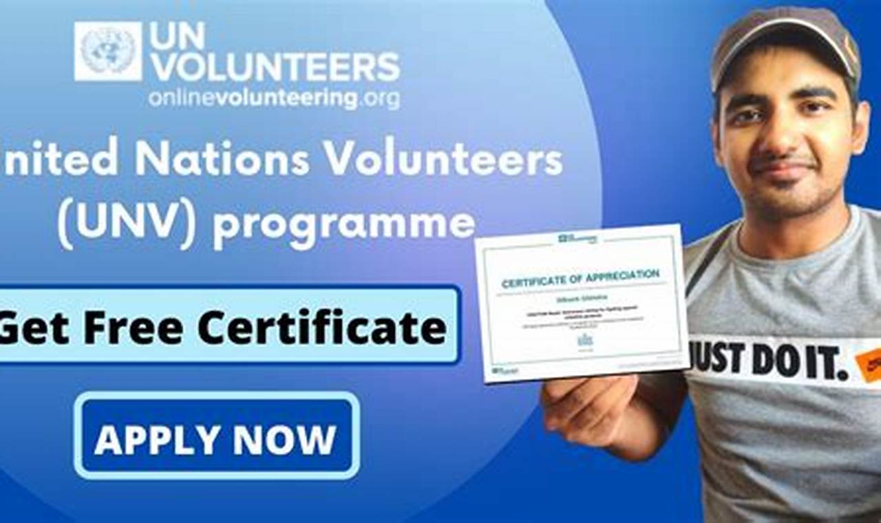 Unite the World through Online Volunteering with the United  Nations Volunteer