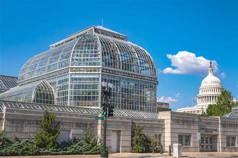 united states botanical gardens washington dc