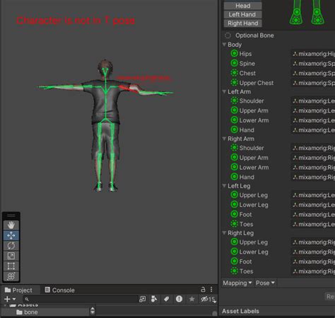 Unity Bone Constraints