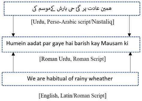 universal problem meaning in urdu with example