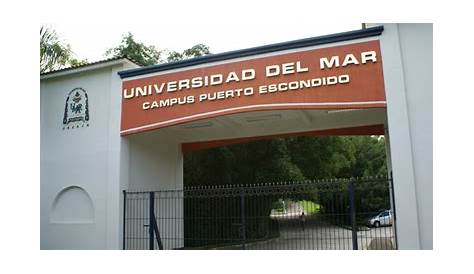 Cierre de la Universidad del Mar fue postergado por un año más: faltan