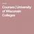 university of wisconsin course catalog
