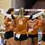 university texas volleyball