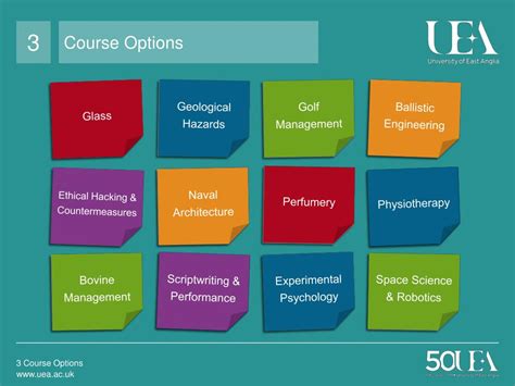 university course options