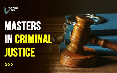 university criminal justice masters