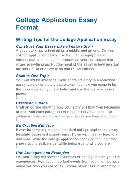 university essay structure example