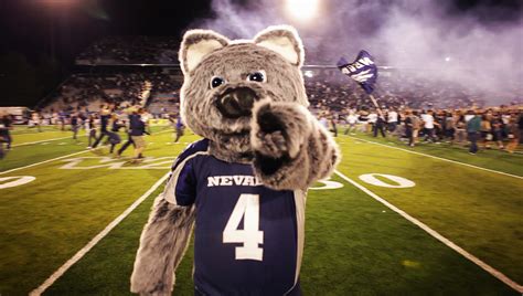 university nevada reno mascot