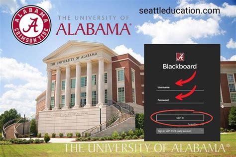university of alabama blackboard learn login
