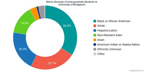 university of bridgeport demographics