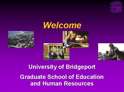 university of bridgeport masters in education