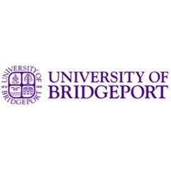 university of bridgeport summer courses