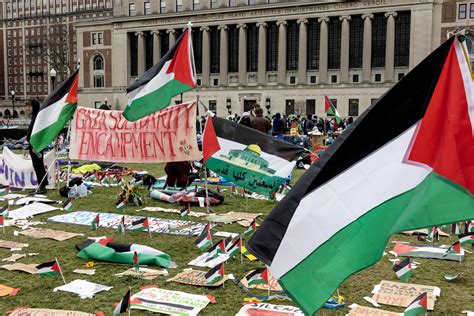 university of chicago palestine protest