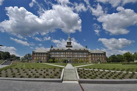 Top 20 Best Online Masters in Nursing (MSN)Gerontology Degree Programs
