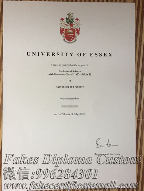 university of essex accounting and finance