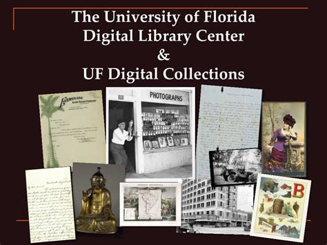 university of florida digital archives