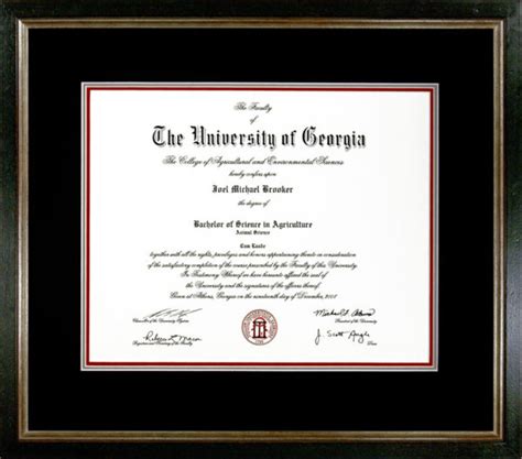university of georgia business degree